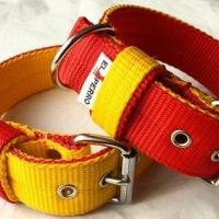 4 cm széles INSIDE nyakörv - piros/sárga, sárga/piros